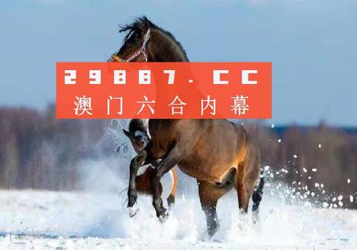澳门王中王一肖一特一中,实际案例解析说明_nshop63.349