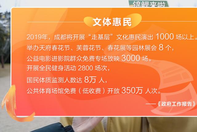 新奥彩294444cm,实效设计计划_9dm37.238