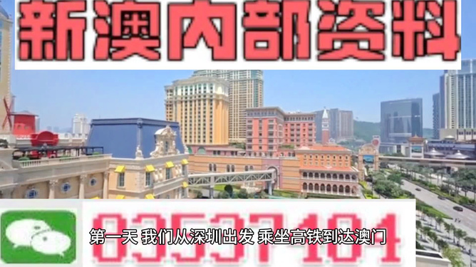 新澳内部资料精准一码,合理化决策评审_premium86.969