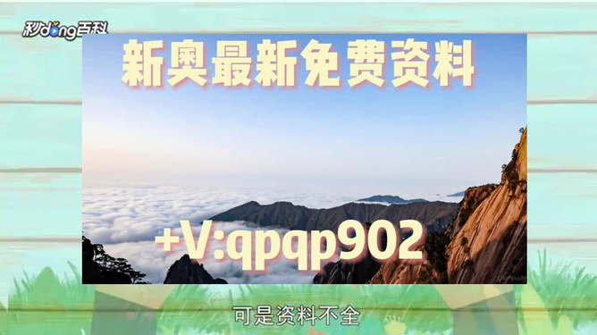 2024新澳免费资料大全精准版,重要性说明方法_vip50.474