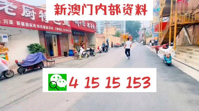 2024澳门天天开好彩大全免费,数据整合执行方案_t15.993
