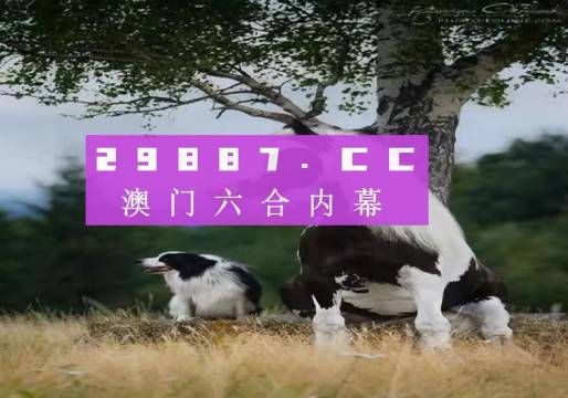 2024新澳门跑狗图今晚特,实地验证设计方案_wearos84.846